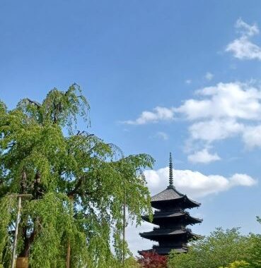 東寺　４月　アイキャッチ